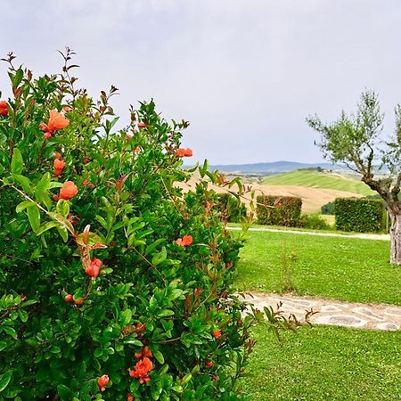 Agriturismo Caliano Asciano Bagian luar foto
