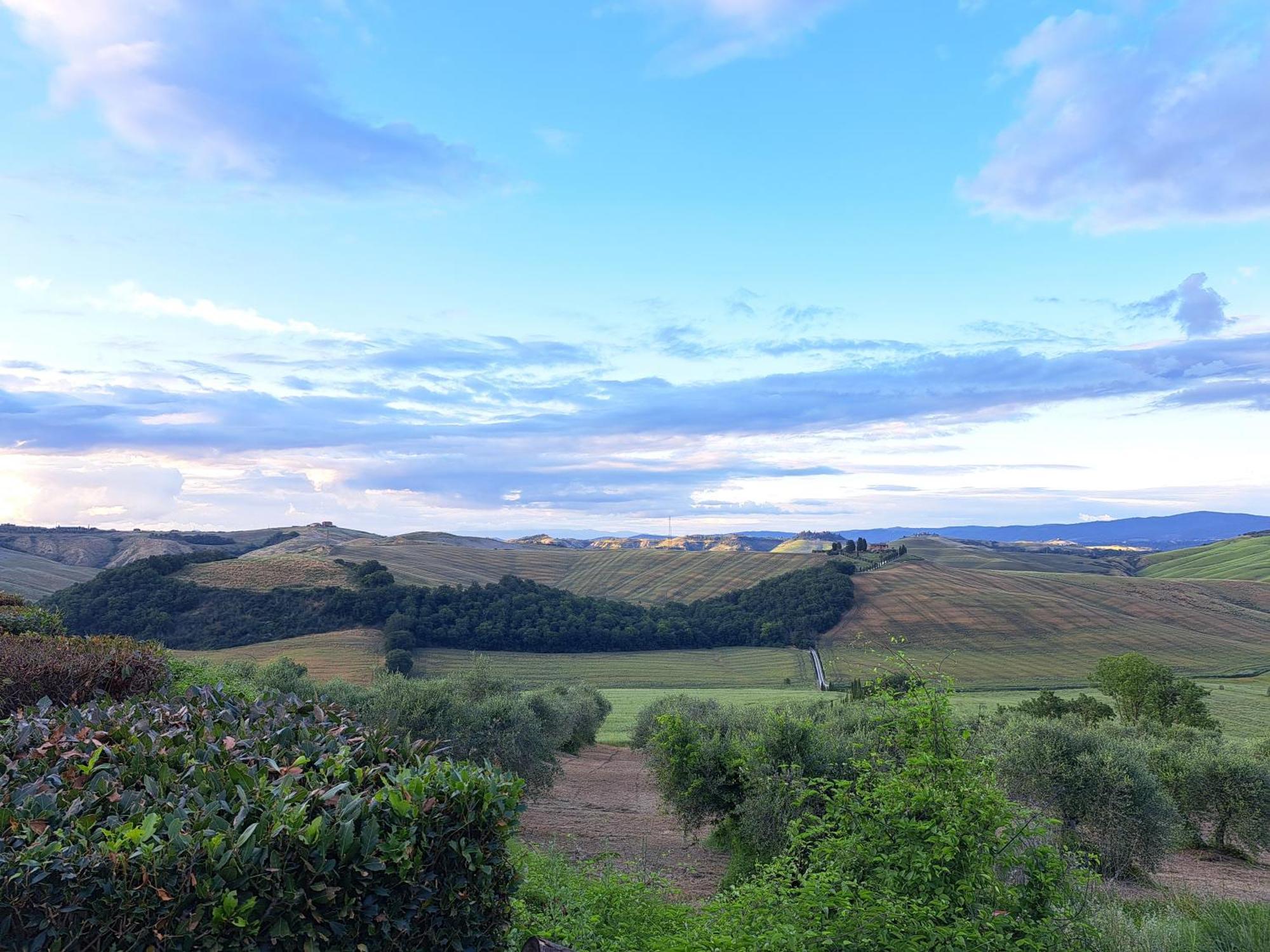 Agriturismo Caliano Asciano Bagian luar foto