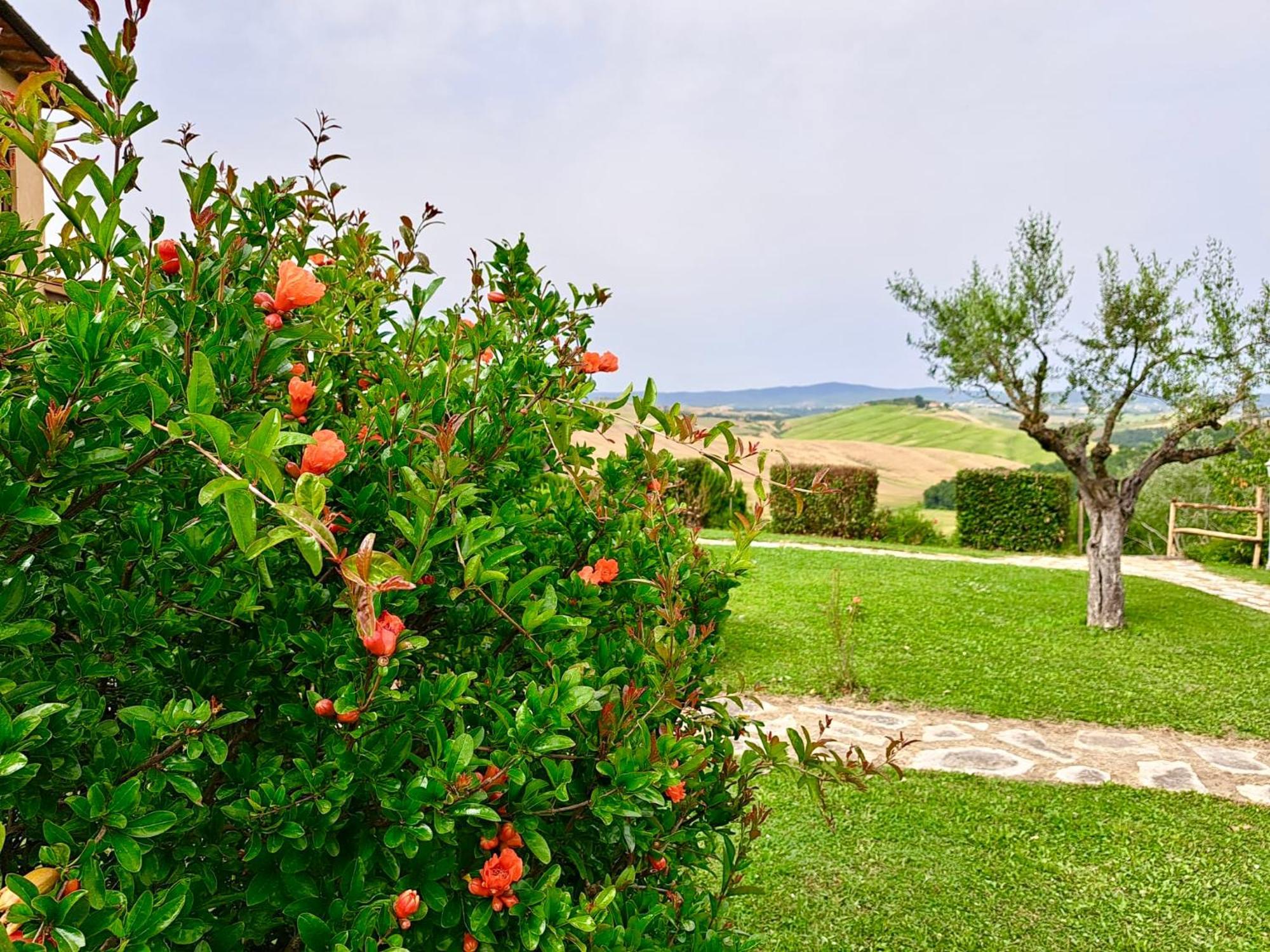 Agriturismo Caliano Asciano Bagian luar foto