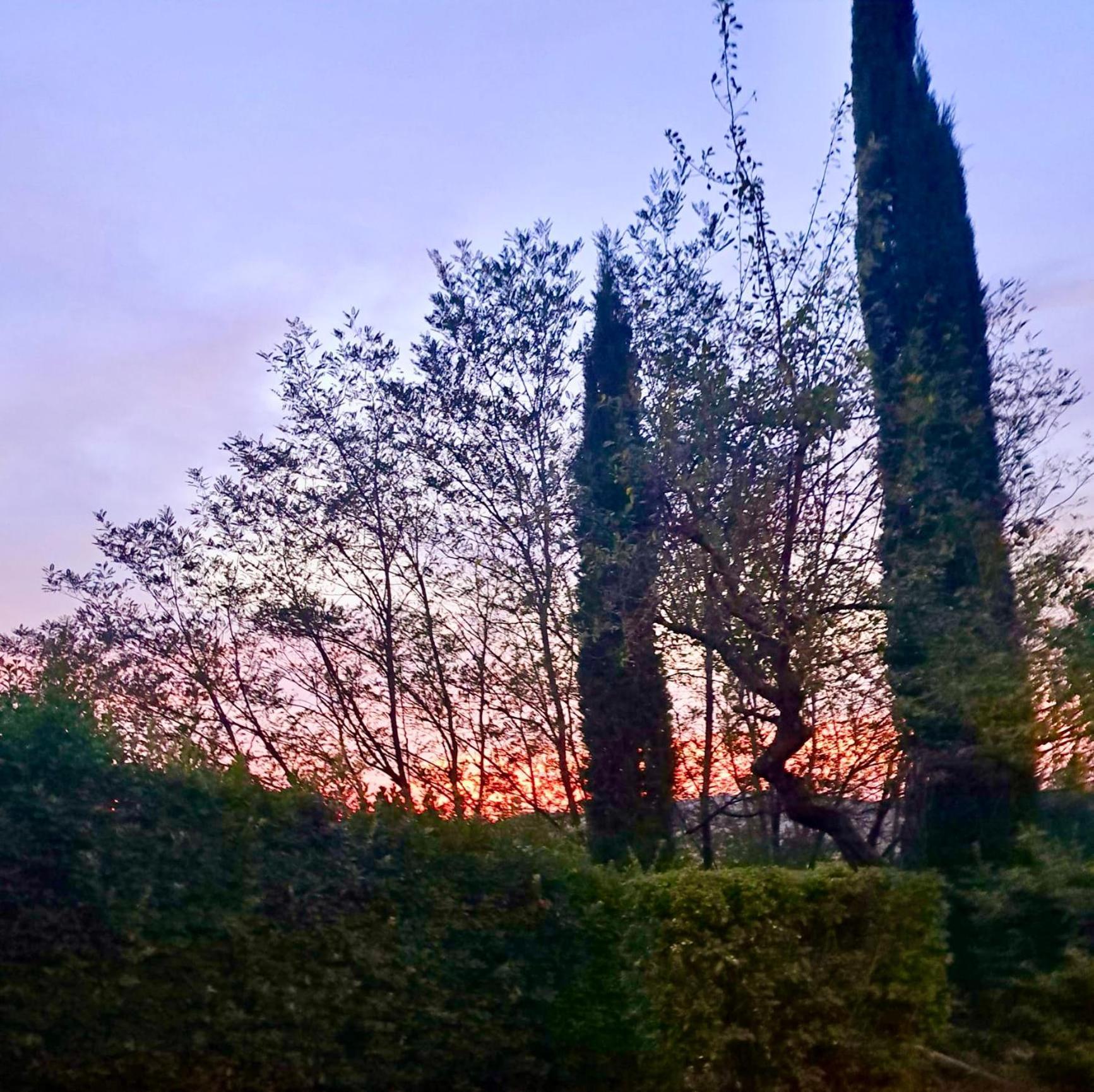 Agriturismo Caliano Asciano Bagian luar foto