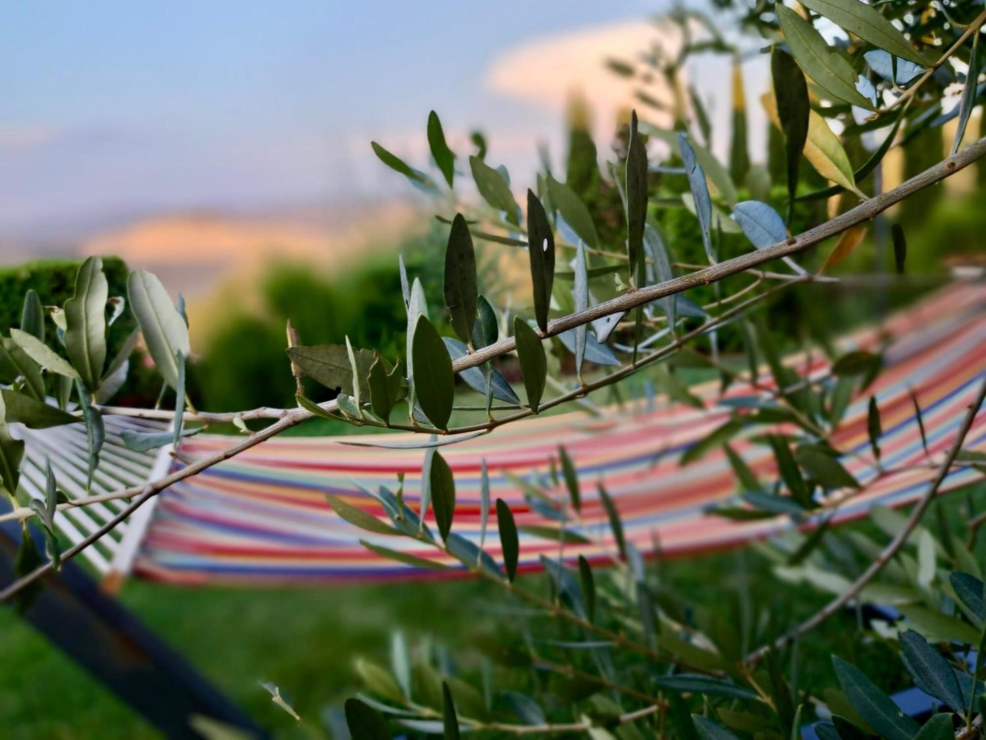 Agriturismo Caliano Asciano Bagian luar foto