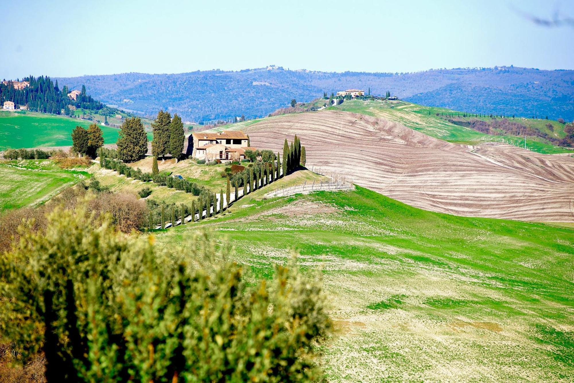 Agriturismo Caliano Asciano Bagian luar foto