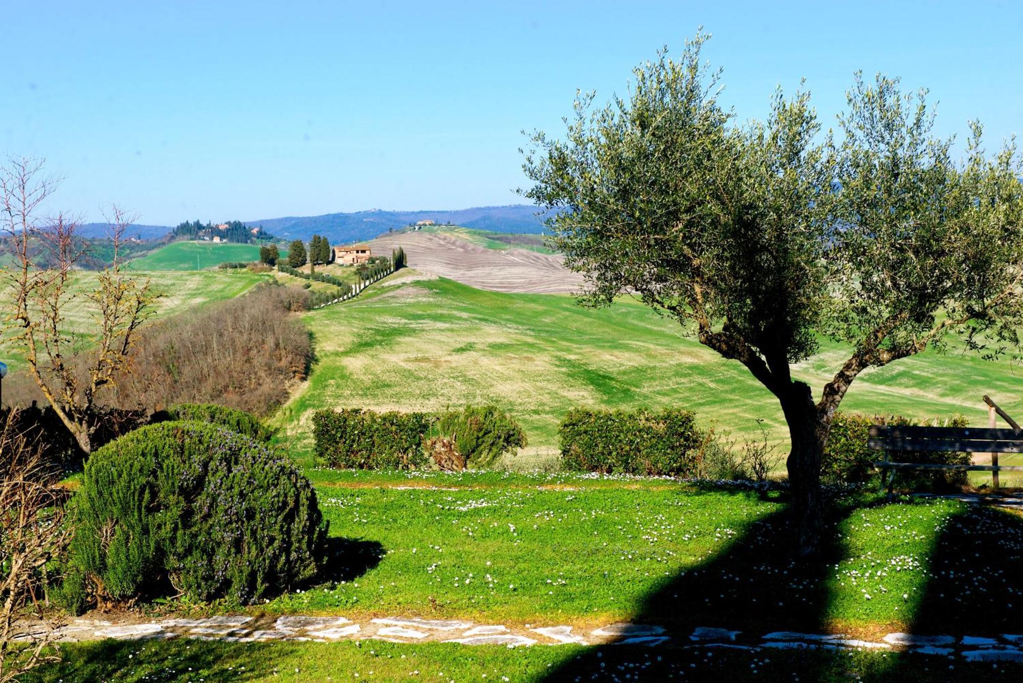 Agriturismo Caliano Asciano Bagian luar foto